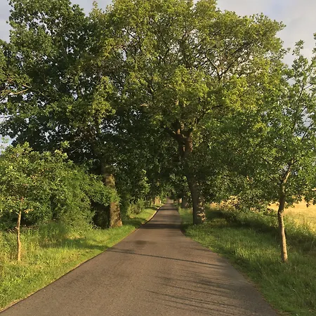 Apartament Witte Hus Ruegen - Ruhige Lage