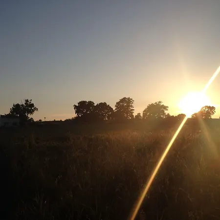 Apartament Witte Hus Ruegen - Ruhige Lage *